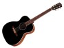 Eastman PCH2-OM-BK Black Satin