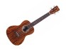 Cordoba 15CB Ukulele Concerto