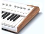 Arturia Astrolab 61 White