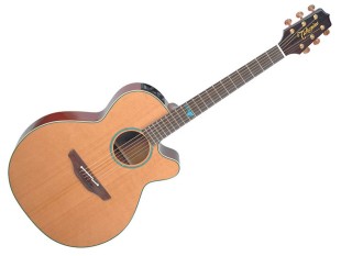 Takamine Santa Fe TSF40C...