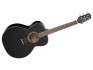 Takamine GN30 Auditorium Black